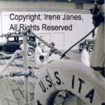 Releasing  Amelia documents files records